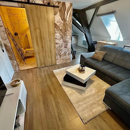 Logement Entier Au Coeur De Strasbourg Estrasburgo Exterior foto